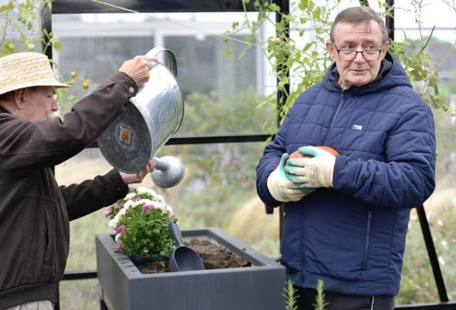 standardized_latest_image_6